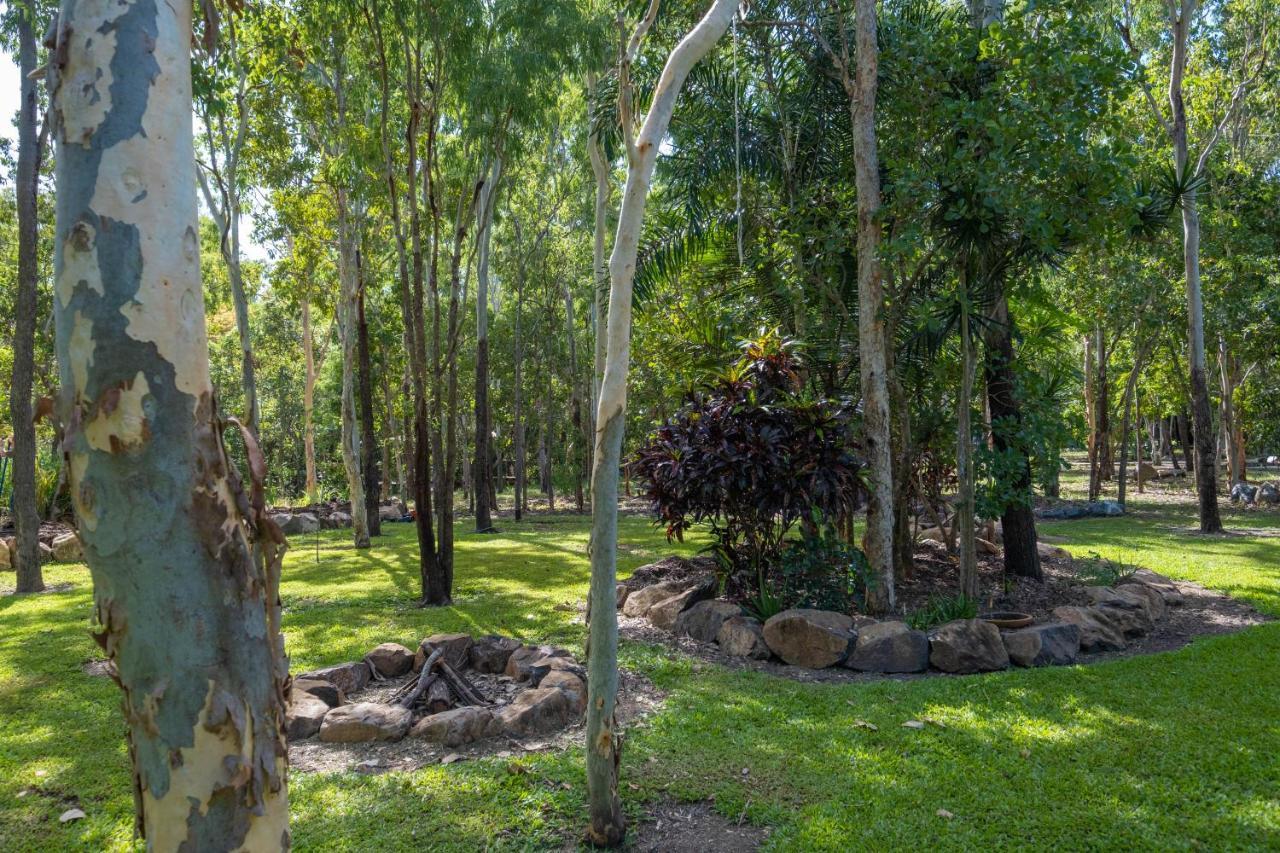 Airlie Beach Eco Cabins - Adults Only エクステリア 写真