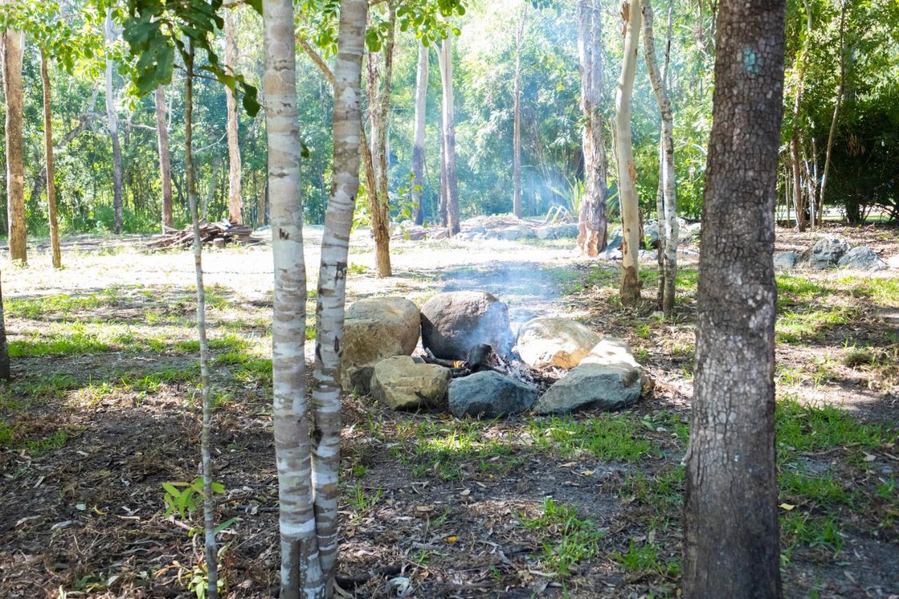 Airlie Beach Eco Cabins - Adults Only エクステリア 写真