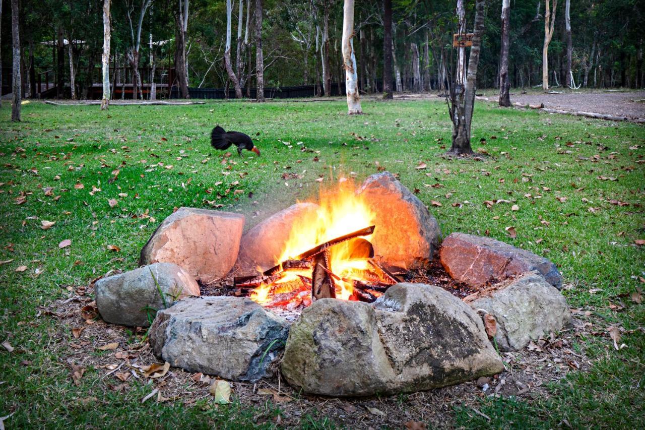 Airlie Beach Eco Cabins - Adults Only エクステリア 写真