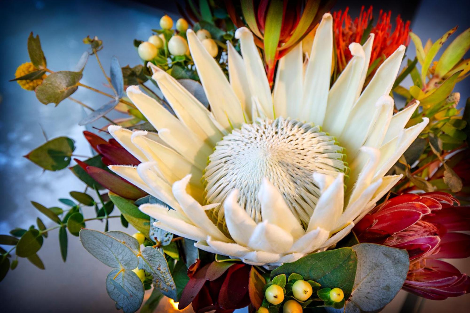 Airlie Beach Eco Cabins - Adults Only エクステリア 写真