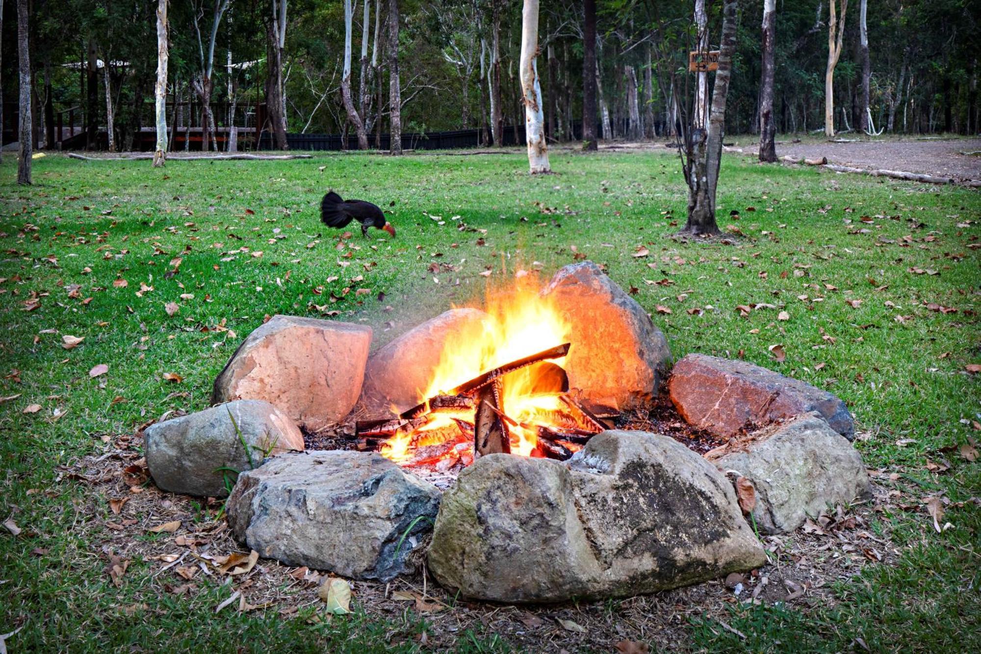 Airlie Beach Eco Cabins - Adults Only エクステリア 写真